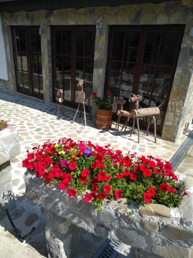 Отели типа «постель и завтрак» River apartmants and rooms M Колашин-19